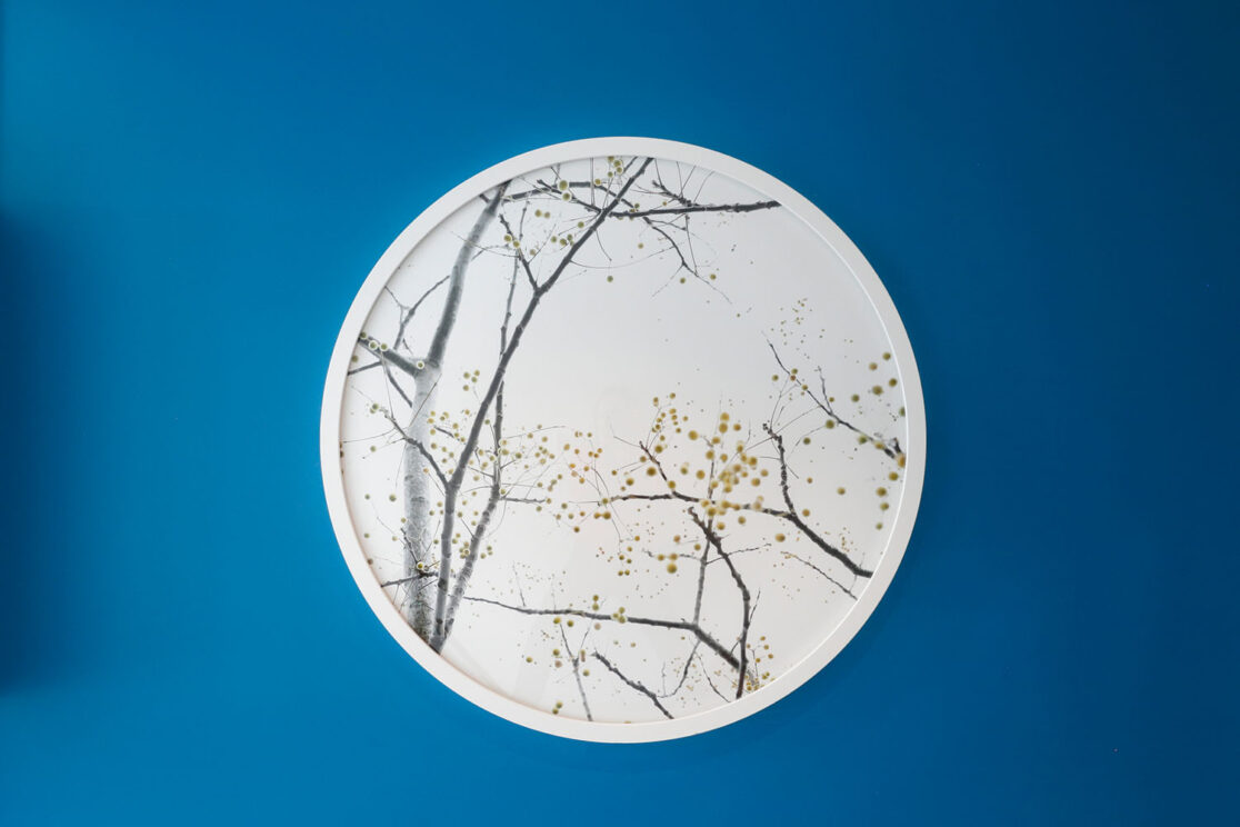 Large photographic artwork