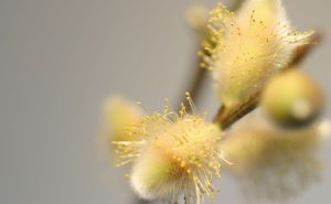 Golden abstract artwork