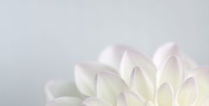 Uplifting photography